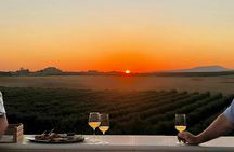 Agrigento vineyard and olive grove tour with starlit wine tasting