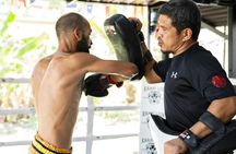 Introductory Muay Thai session for beginners