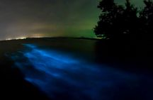 Krabi Lagoon boat tour with beach BBQ and bioluminescent swim
