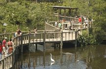 Florida wildlife adventure with Airboat Ride and Gatorland entry