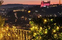 Croix rousse market tour and cooking class