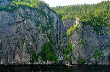 Tadoussac whale watching cruise on a zodiac boat