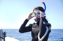 2-hour snorkelling boat tour at Ponta de São Lourenço