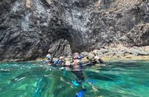 2-hour snorkelling boat tour at Ponta de São Lourenço