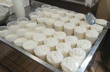 Semi Private Cheese Making & Tasting Experience