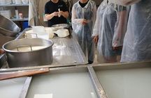 Semi Private Cheese Making & Tasting Experience