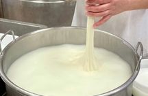 Semi Private Cheese Making & Tasting Experience