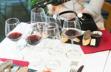 Pisa Guided Tour with Wine Tasting and Optional Leaning Tower Tickets