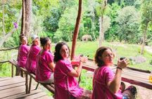 Half day tour to admire elephants and enjoy Thai nature