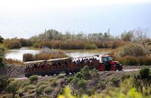 Oasis Park Fuerteventura ticket and visit to the lemurs