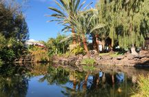 Oasis Park Fuerteventura ticket and visit to the lemurs