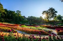 Doi Tung Royal Villa with sacred temple and gardens private transfer