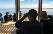 Tadoussac whale watching cruise