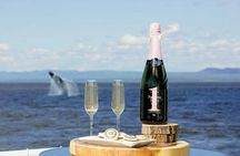 Tadoussac whale watching cruise