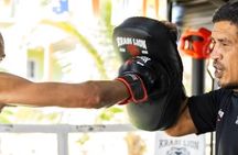Introductory Muay Thai session for beginners