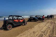 Tifnit dunes half-day tour with buggy ride and sandboarding