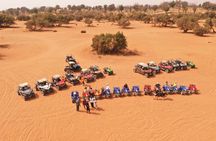 Tifnit dunes half-day tour with buggy ride and sandboarding
