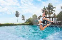 Dolphin encounter ticket at Isla Discovery