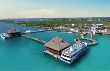 Dolphin Connection at Dolphin Discovery Isla Mujeres ticket