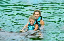 Dolphin Connection at Dolphin Discovery Isla Mujeres ticket