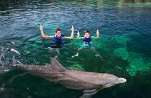 Catamaran & Dolphin Swim at Dolphin Discovery Isla Mujeres