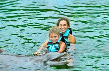 Puerto Aventuras dolphin swim adventure ticket