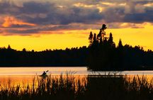 Mangrove 1-Hour Private Kayaking in Al Thakira Reserve