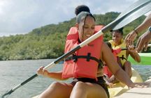 Unforgettable journey through Jamaica Portland's charm