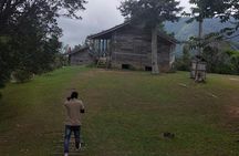 Jamaica's Blue Mountains tour with coffee estate visit