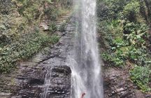 Jamaica's Blue Mountains tour with coffee estate visit