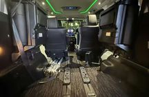 Tokyo private transfer to or from Narita Airport