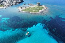 Asinara dinghy tour with aperitif from Stintino
