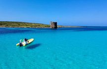 Asinara dinghy tour with aperitif from Stintino