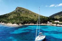 Tavolara and Cala Moresca boat tour from Olbia
