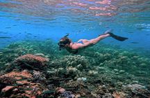Surin Islands catamaran tour with snorkelling and lunch from Phuket
