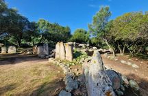 Guided tour through historical and archaeological sites of Olbia