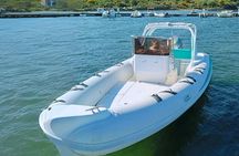 Dolphin watching RIB tour to Capo Figari from Olbia