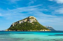 Dolphin watching RIB tour to Capo Figari from Olbia