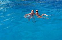 Dolphin watching RIB tour to Capo Figari from Olbia