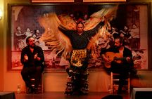 Tablao La Cantaora flamenco show with optional dinner
