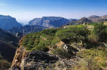 Full-day Jabal Akhdar tour