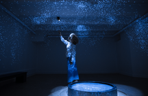 Museum Villa entrance ticket