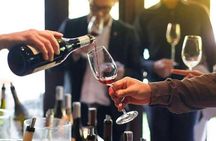 Wine tasting and vineyard guided tour from Nice