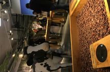 Gruyères chocolate and cheese tour from Lausanne with Golden Pass train ride