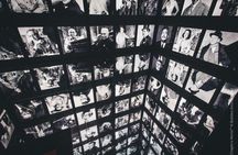 Chaplin, Montreux and Chillon castle Gold tour with cruise