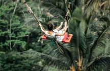 Sacred jungle and scenic terraces trip