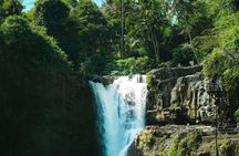 Sacred jungle and scenic terraces trip