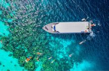 Surin Islands 3-reef snorkel masterpiece from Khao Lak