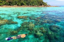 Surin Islands reef snorkel from Phuket