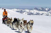 Full-day tour to Glacier 3000 and Montreux from Geneva